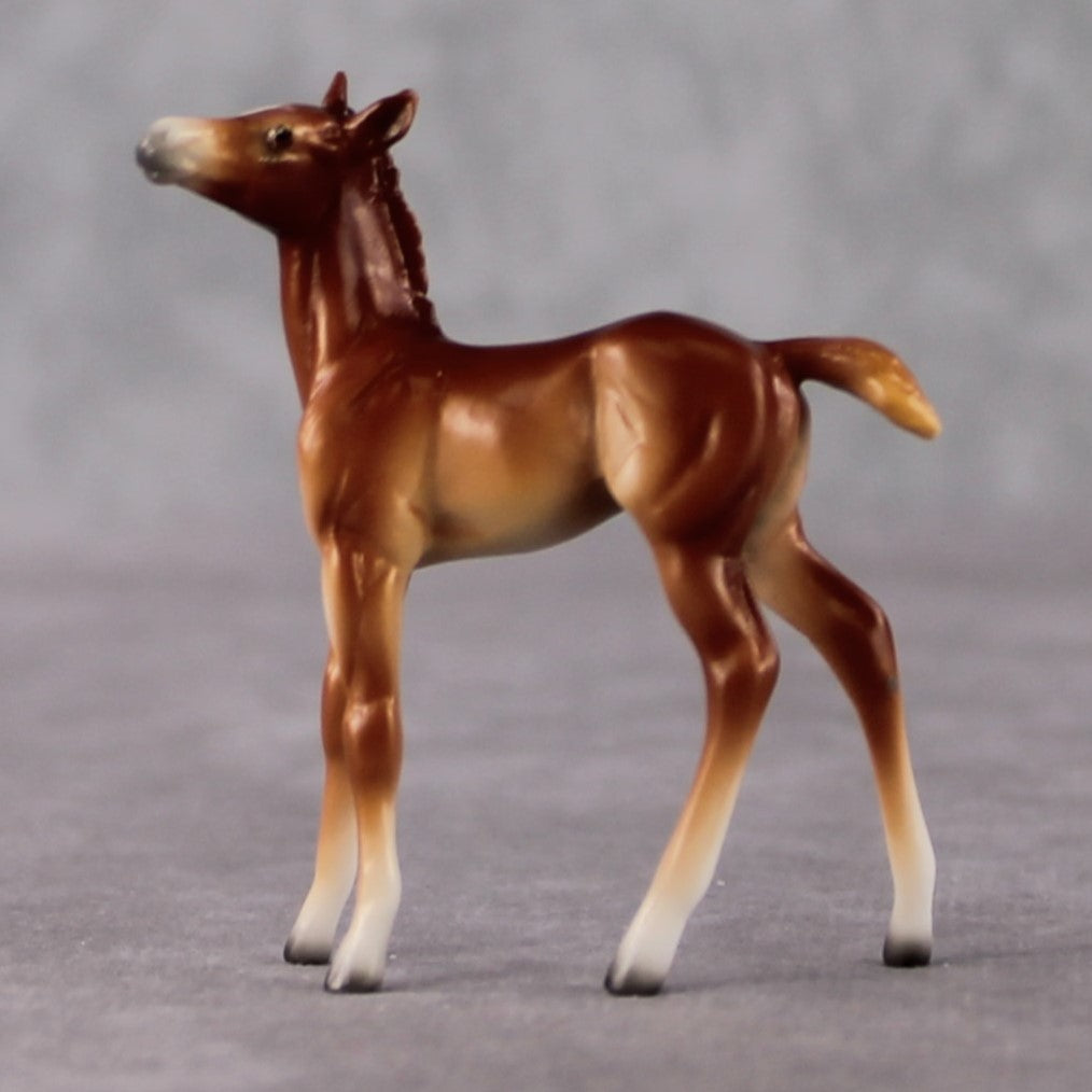 Foal Chip Grab Bag - January 2025 We've Got History Shakespeare Chips Painted By Ellen Robbins CL25