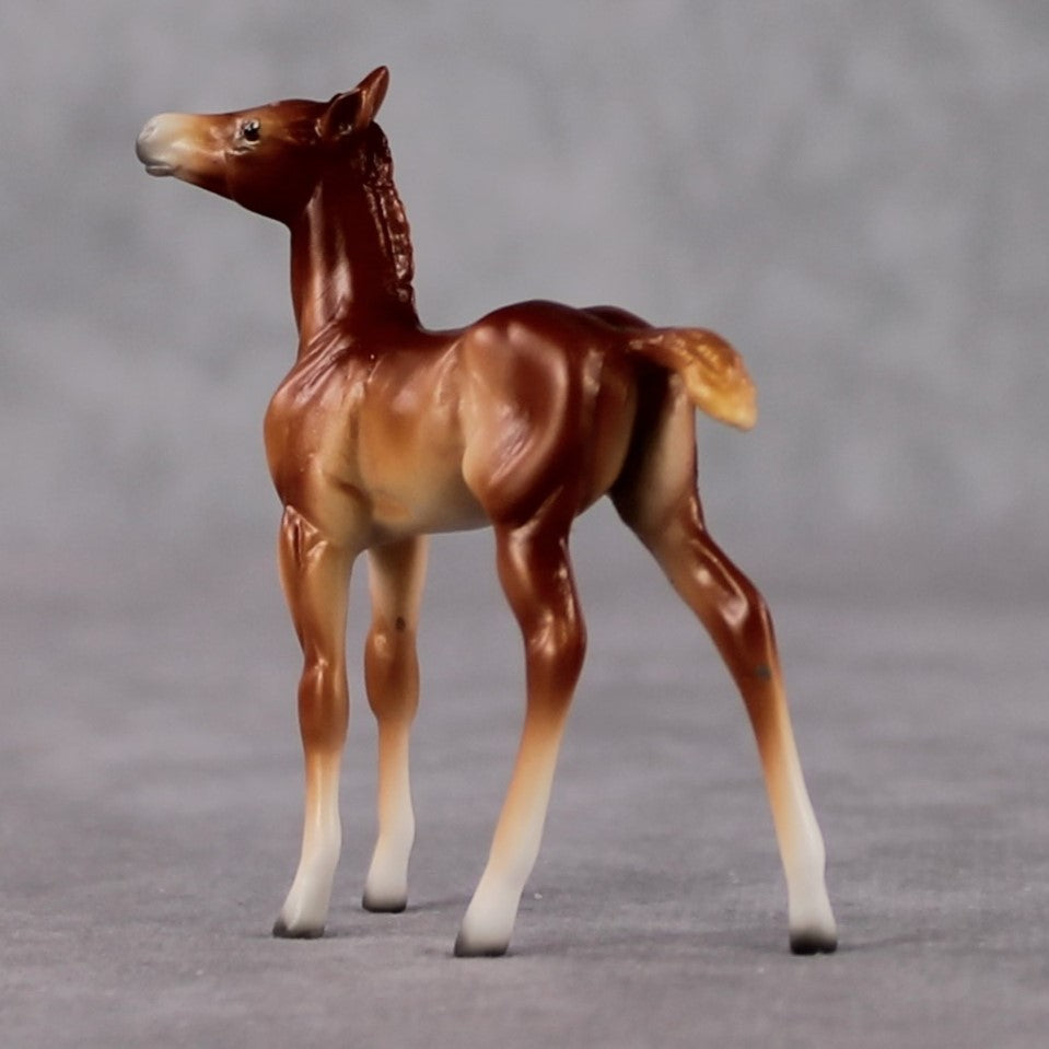 Foal Chip Grab Bag - January 2025 We've Got History Shakespeare Chips Painted By Ellen Robbins CL25