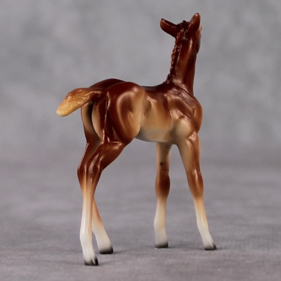 Foal Chip Grab Bag - January 2025 We've Got History Shakespeare Chips Painted By Ellen Robbins CL25