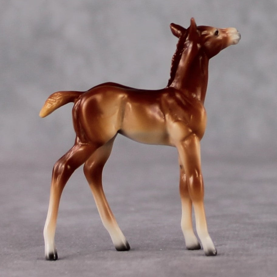 Foal Chip Grab Bag - January 2025 We've Got History Shakespeare Chips Painted By Ellen Robbins CL25