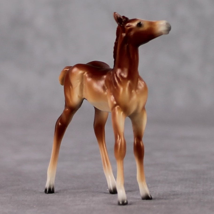 Foal Chip Grab Bag - January 2025 We've Got History Shakespeare Chips Painted By Ellen Robbins CL25