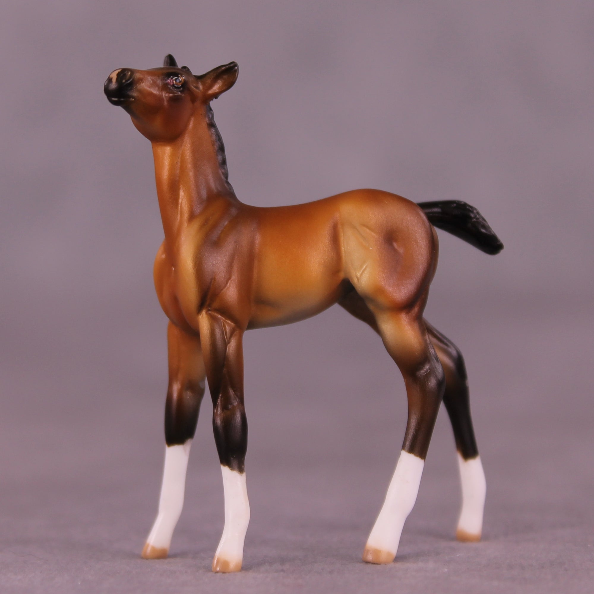 Love Love Love OOAK Chip Foal by Julie Keim LHS25