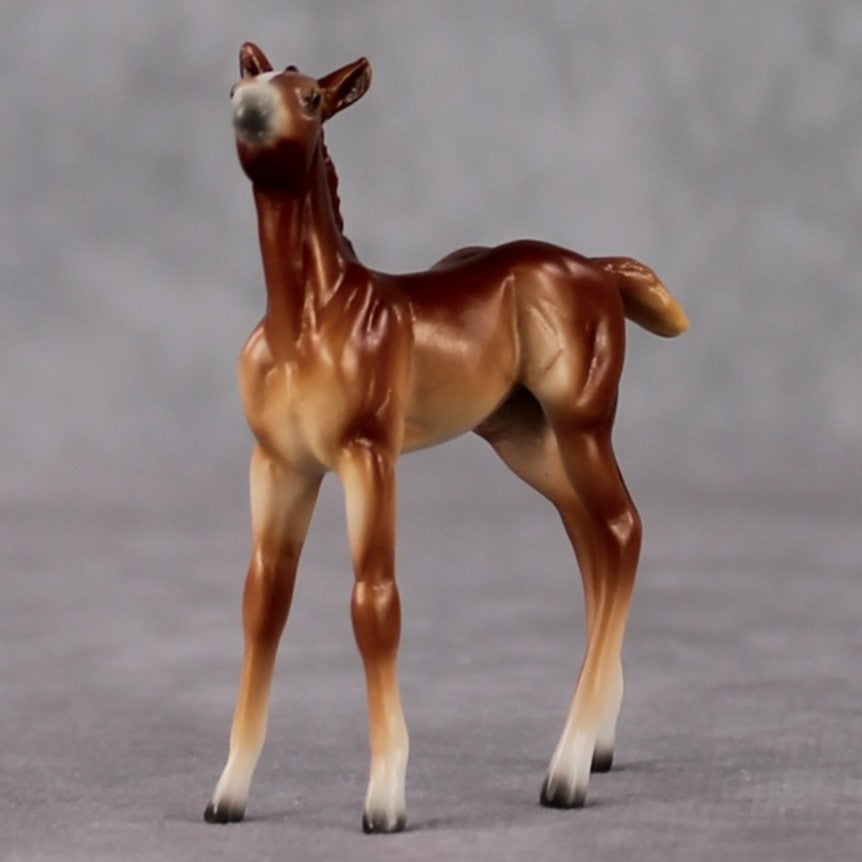 Foal Chip Grab Bag - January 2025 We've Got History Shakespeare Chips Painted By Ellen Robbins CL25