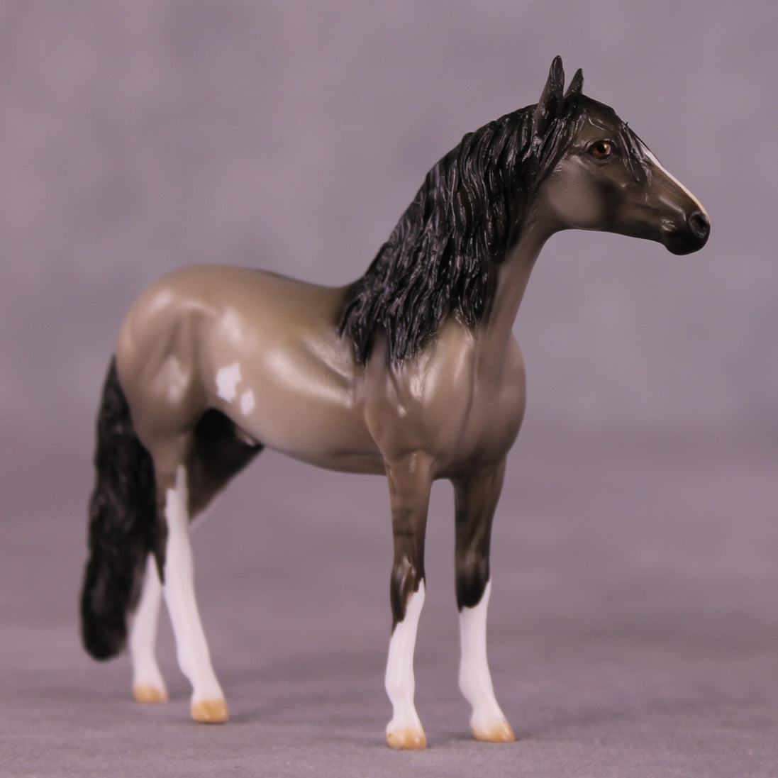 "Andre" OOAK Andalusian Chip by Julie Keim EQ25