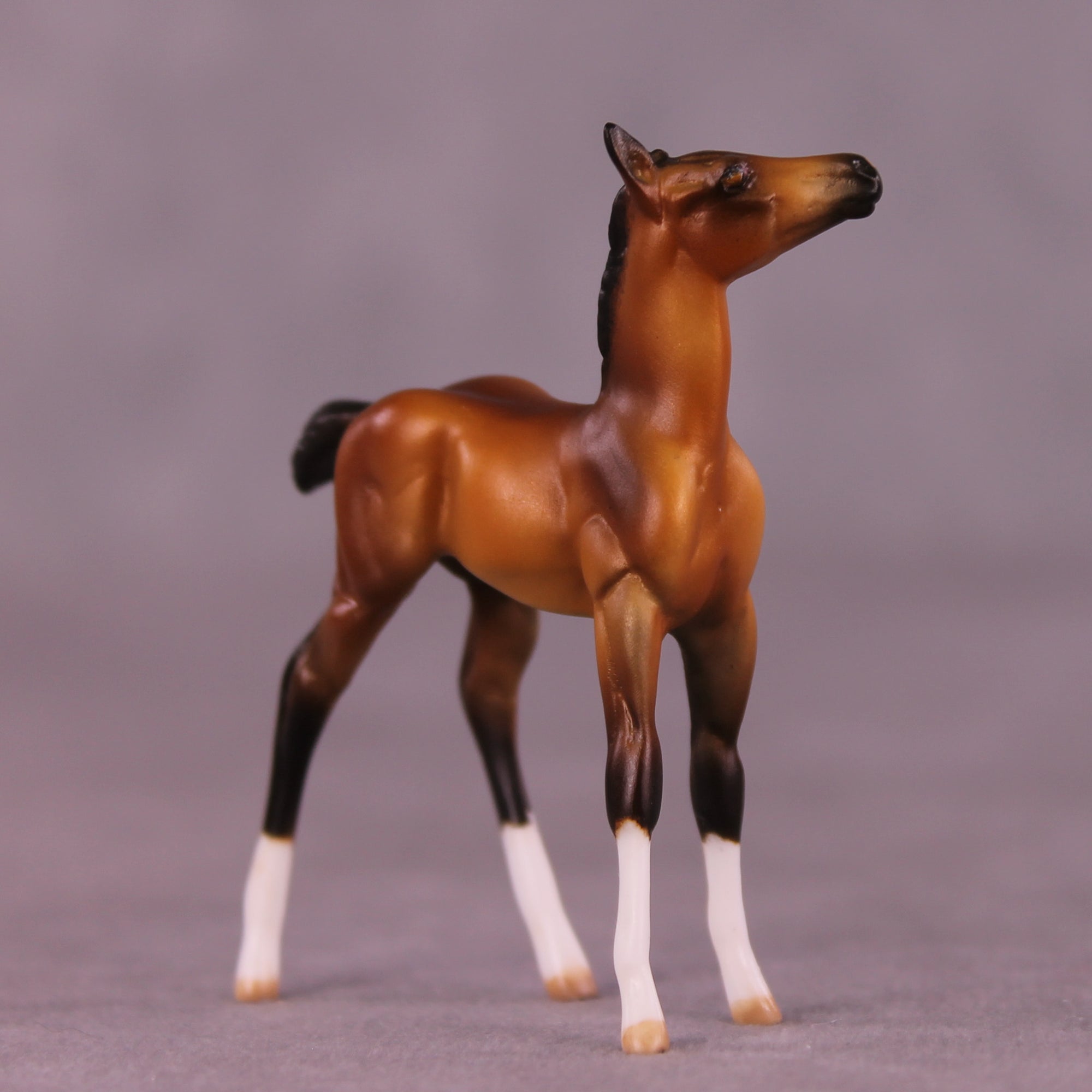 Love Love Love OOAK Chip Foal by Julie Keim LHS25