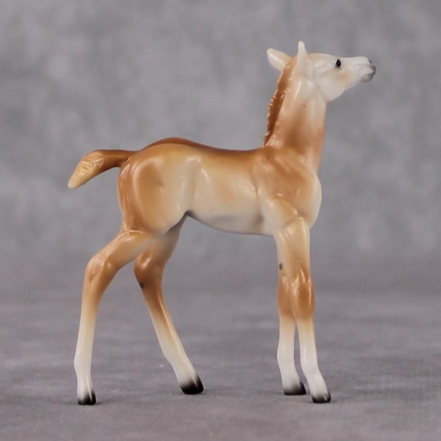 Foal Chip Grab Bag - January 2025 We've Got History Shakespeare Chips Painted By Ellen Robbins CL25