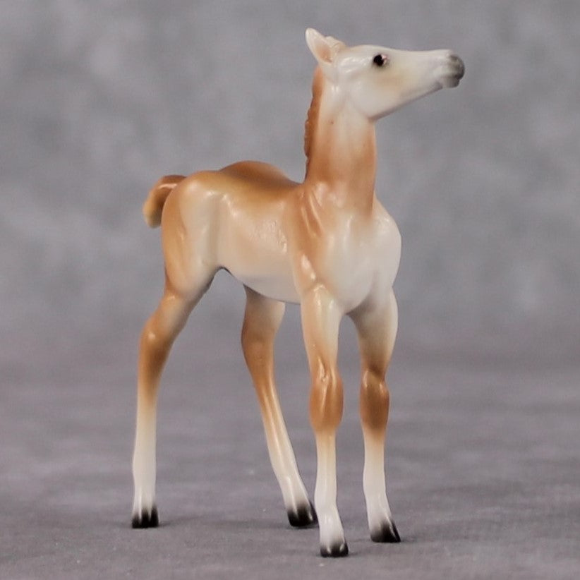 Foal Chip Grab Bag - January 2025 We've Got History Shakespeare Chips Painted By Ellen Robbins CL25