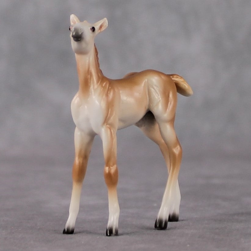 Foal Chip Grab Bag - January 2025 We've Got History Shakespeare Chips Painted By Ellen Robbins CL25