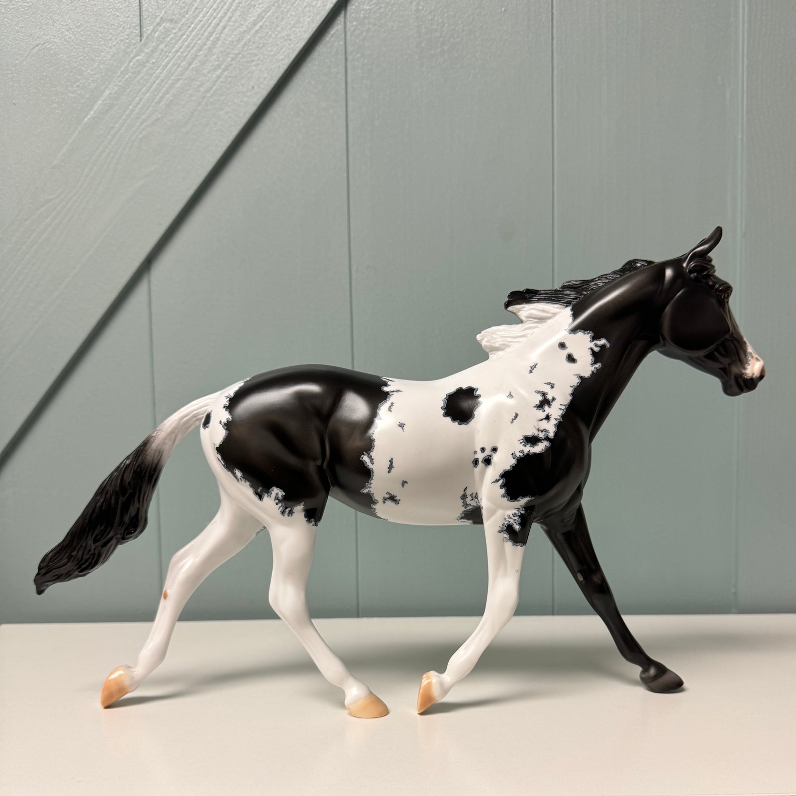 Shadow Dove OOAK Black Pinto W/ Mapping Palouse By Dawn Quick EQ24