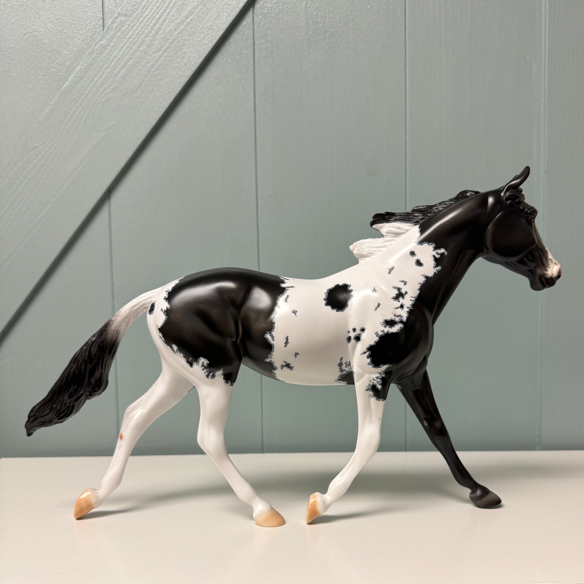 Shadow Dove OOAK Black Pinto W/ Mapping Palouse By Dawn Quick EQ24