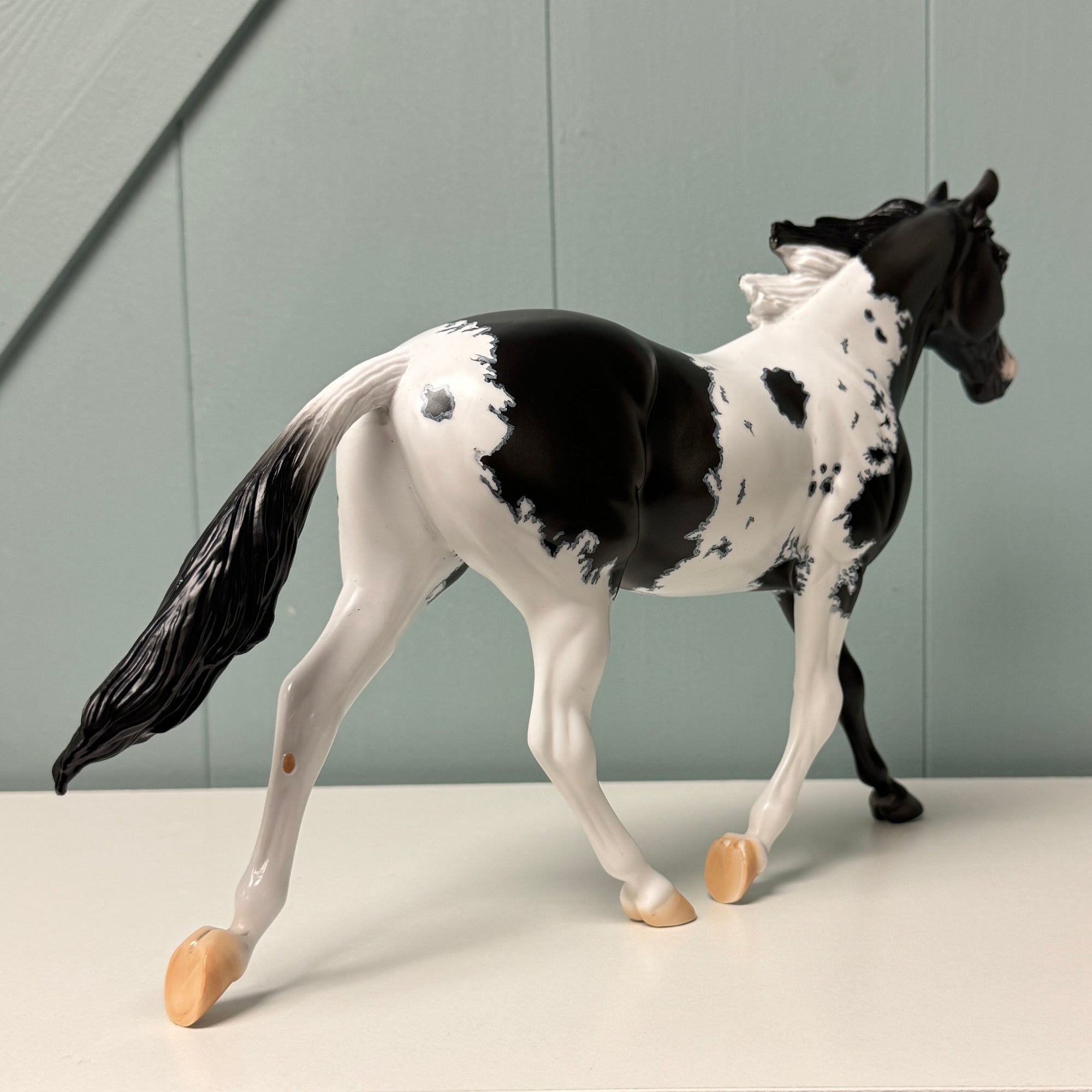 Shadow Dove OOAK Black Pinto W/ Mapping Palouse By Dawn Quick EQ24
