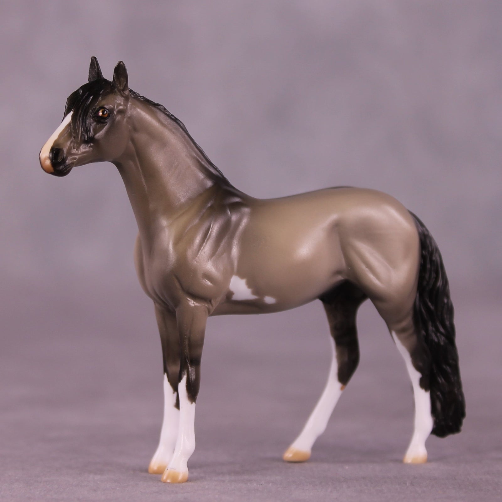 "Andre" OOAK Andalusian Chip by Julie Keim EQ25