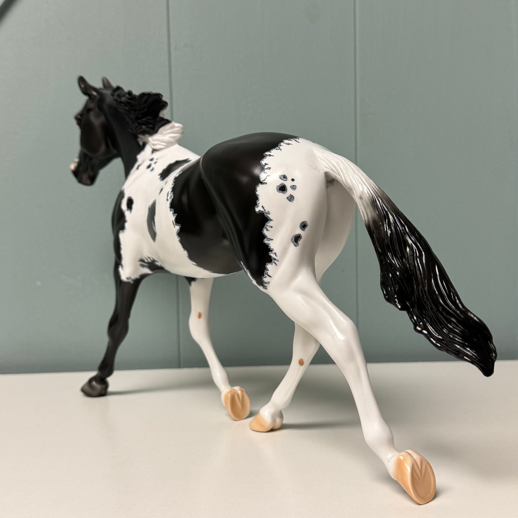 Shadow Dove OOAK Black Pinto W/ Mapping Palouse By Dawn Quick EQ24