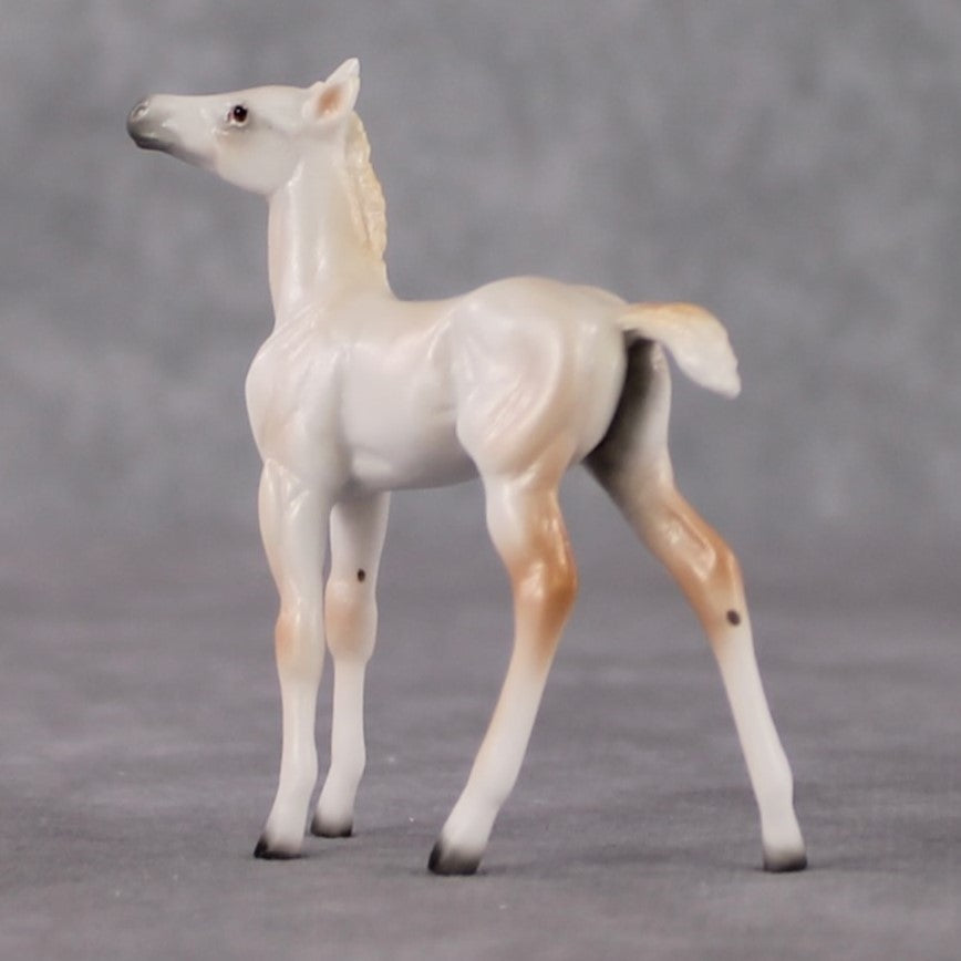 Foal Chip Grab Bag - January 2025 We've Got History Shakespeare Chips Painted By Ellen Robbins CL25