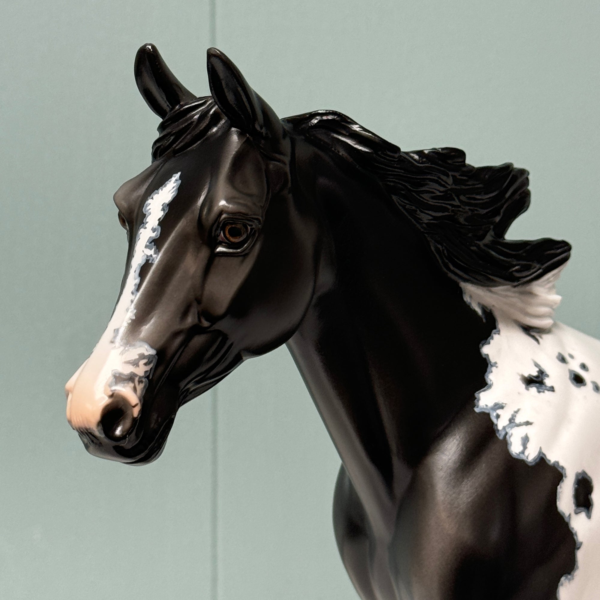 Shadow Dove OOAK Black Pinto W/ Mapping Palouse By Dawn Quick EQ24