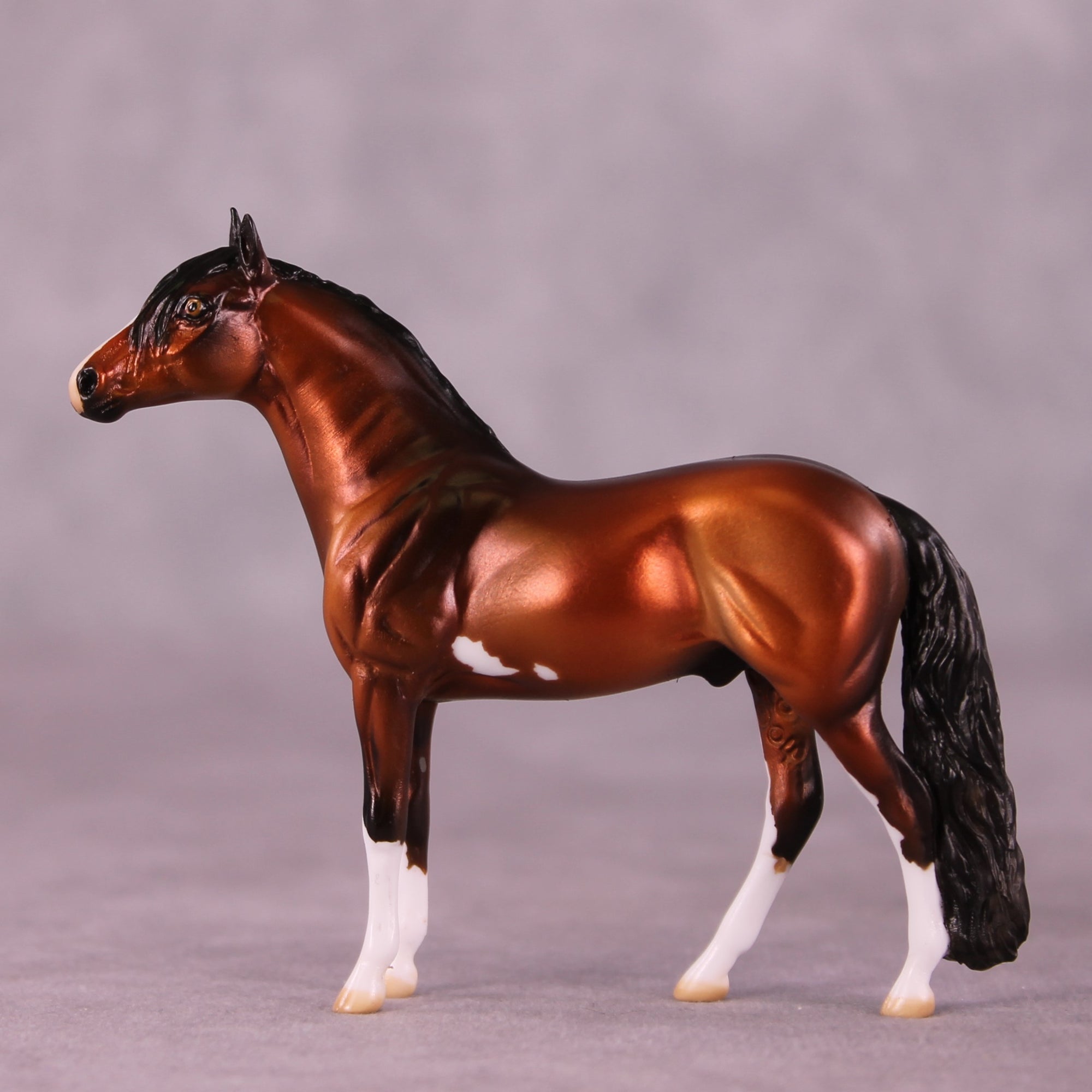 "Santino" OOAK Andalusian Chip by Julie Keim EQ25