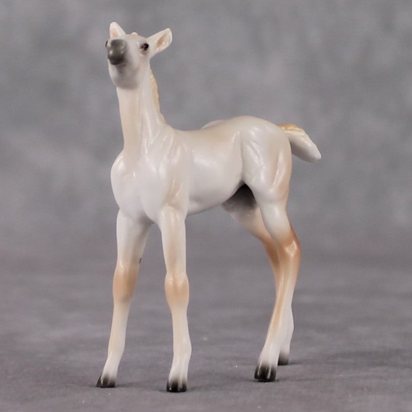 Foal Chip Grab Bag - January 2025 We've Got History Shakespeare Chips Painted By Ellen Robbins CL25