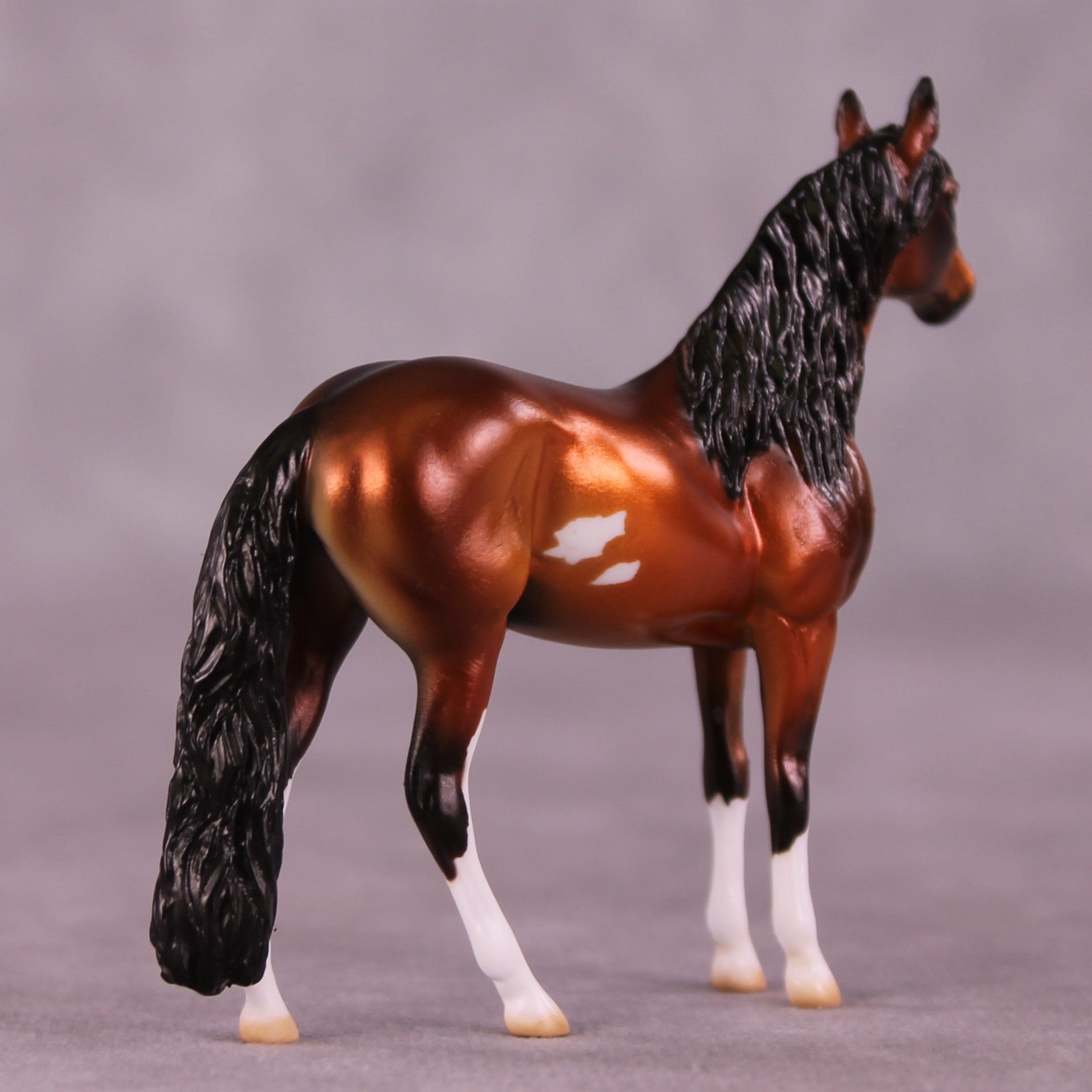 "Santino" OOAK Andalusian Chip by Julie Keim EQ25