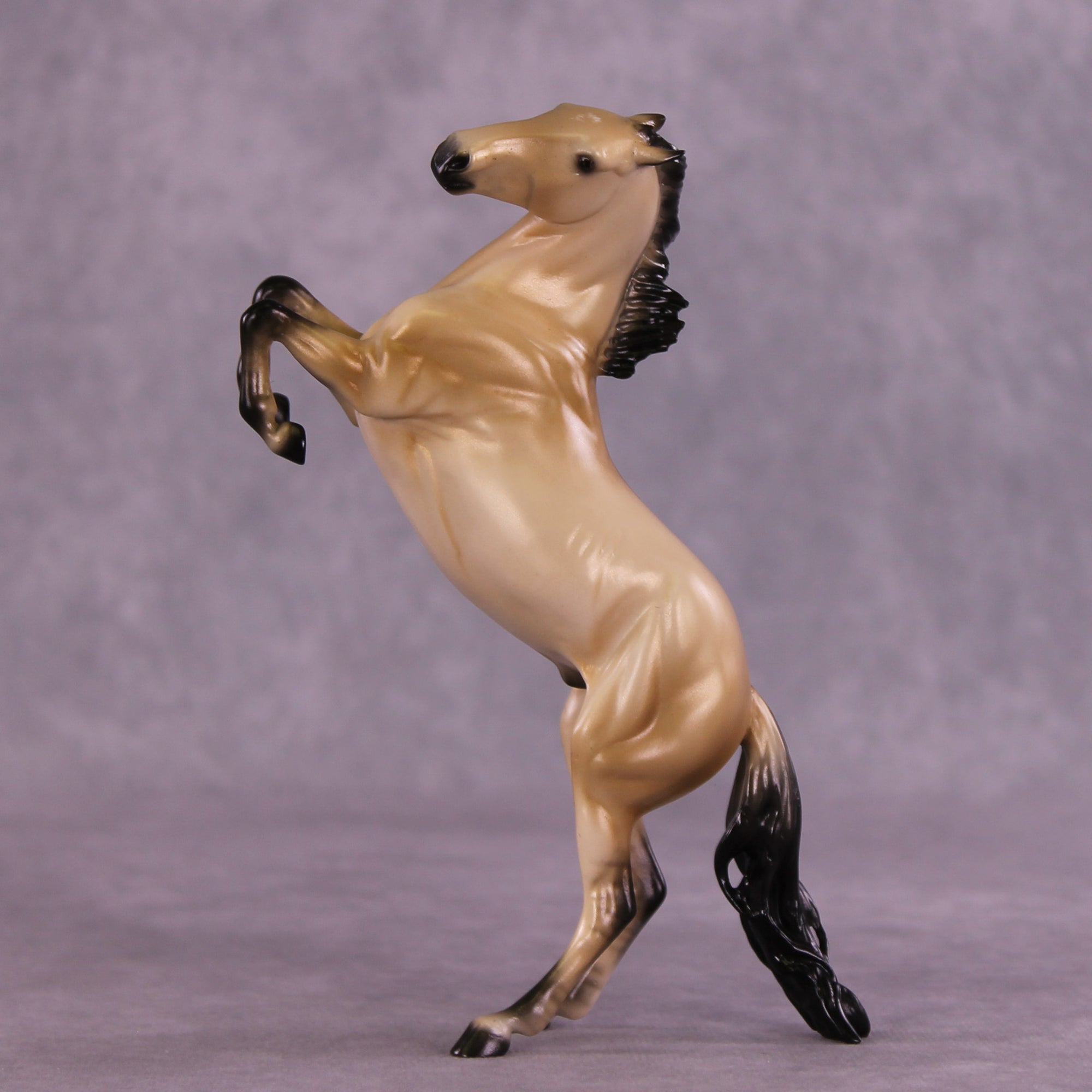 Tracer LE-5 FCM Pebble Mustang by Ellen Robbins MM25