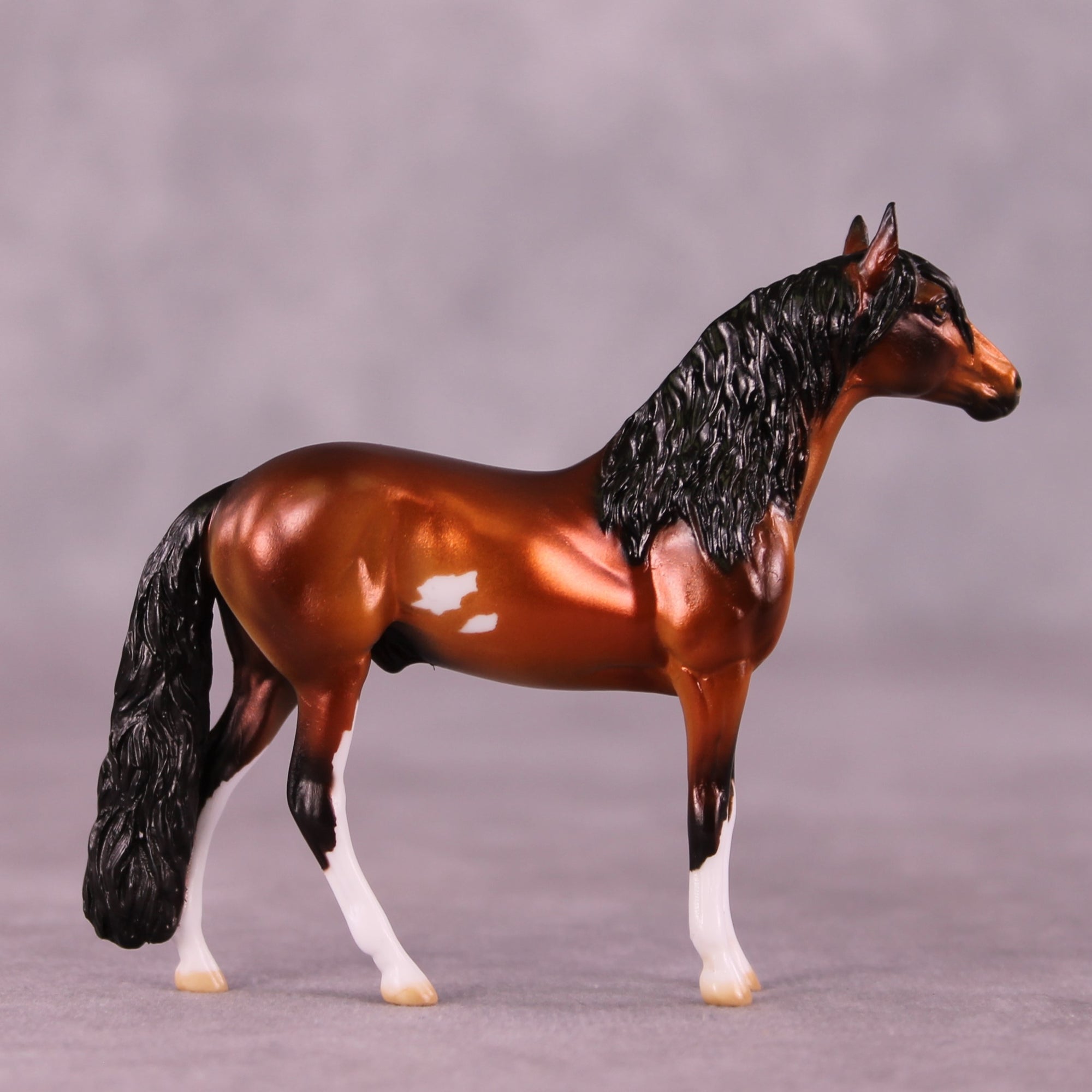 "Santino" OOAK Andalusian Chip by Julie Keim EQ25