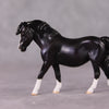 Waffles OOAK Custom Shaded Black Pony Chip By Kristin Cermele - Gemstone Series