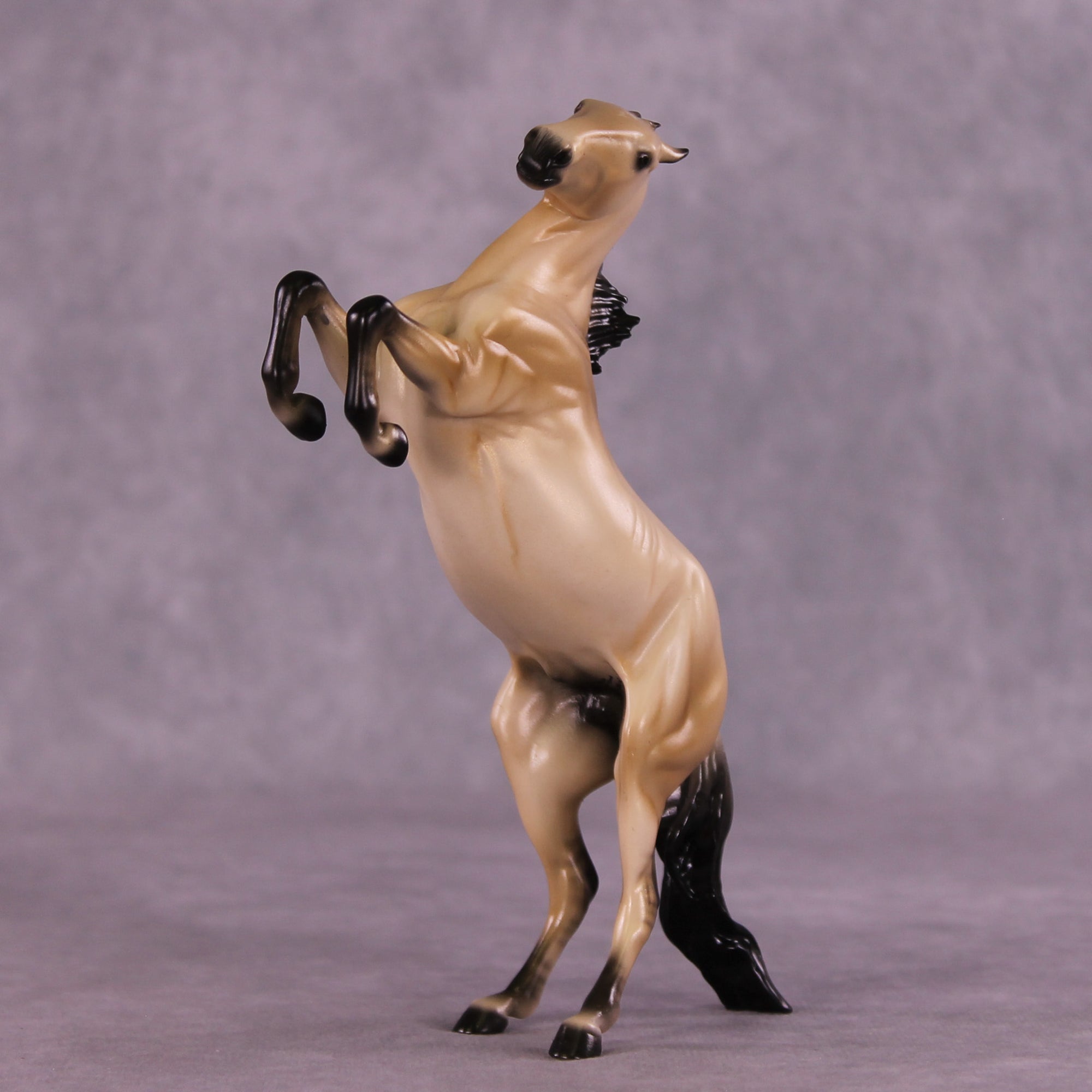 Tracer LE-5 FCM Pebble Mustang by Ellen Robbins MM25