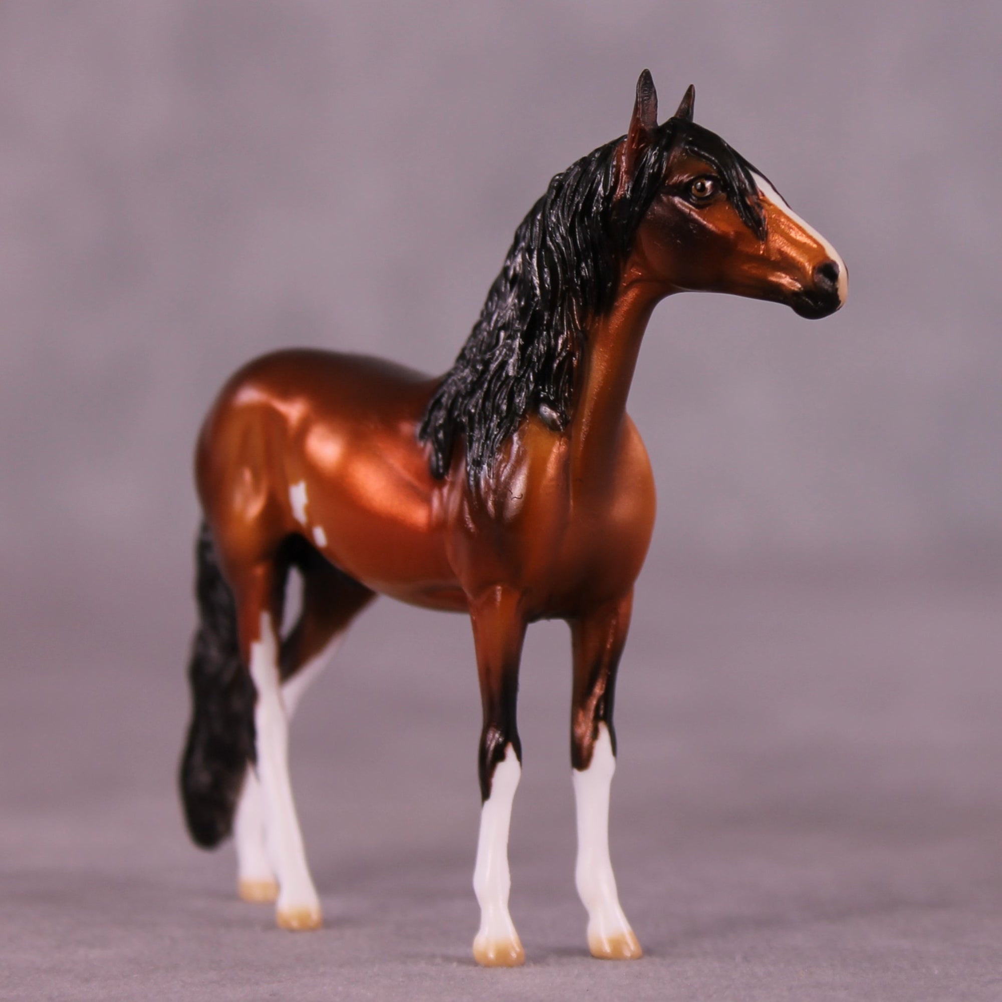 "Santino" OOAK Andalusian Chip by Julie Keim EQ25