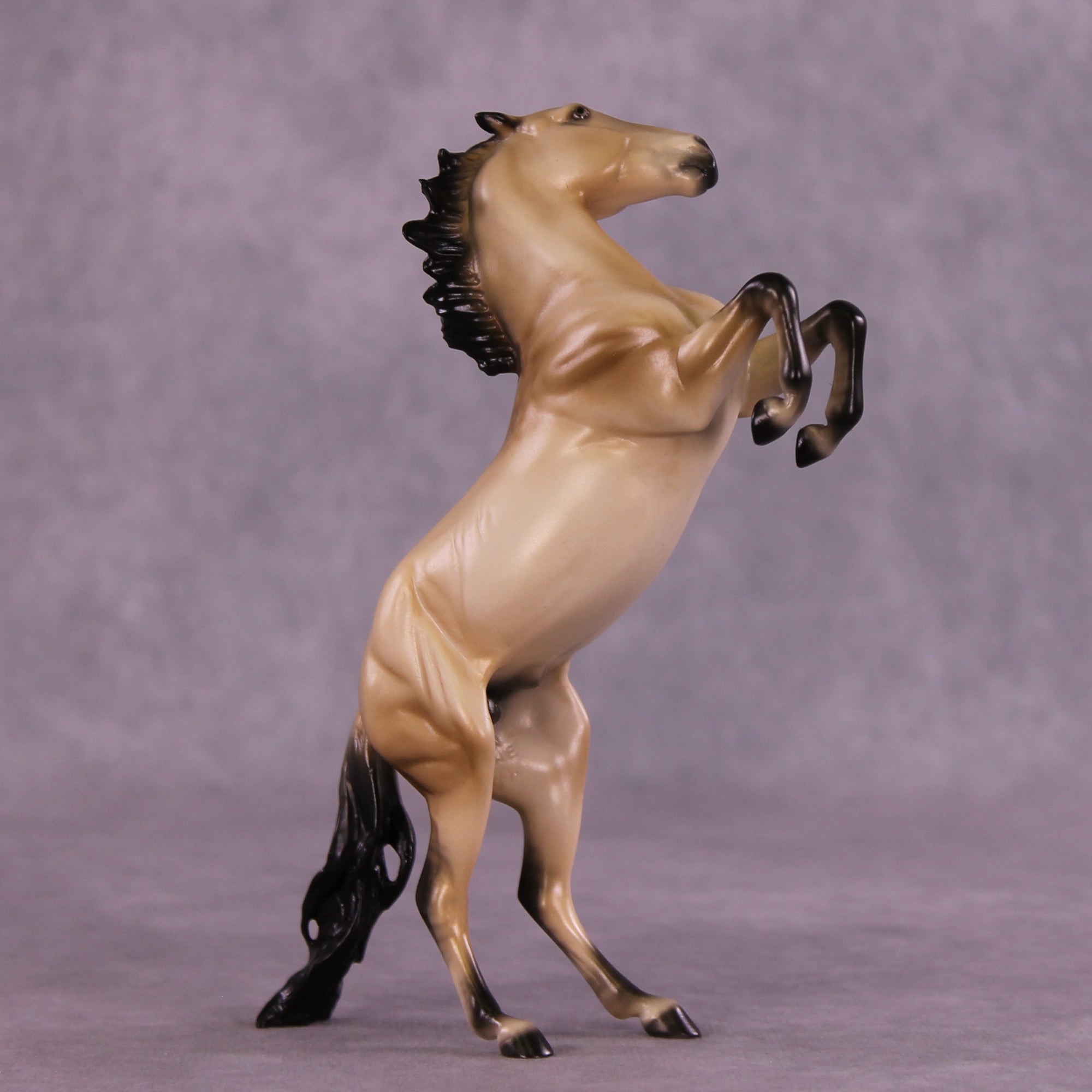 Tracer LE-5 FCM Pebble Mustang by Ellen Robbins MM25