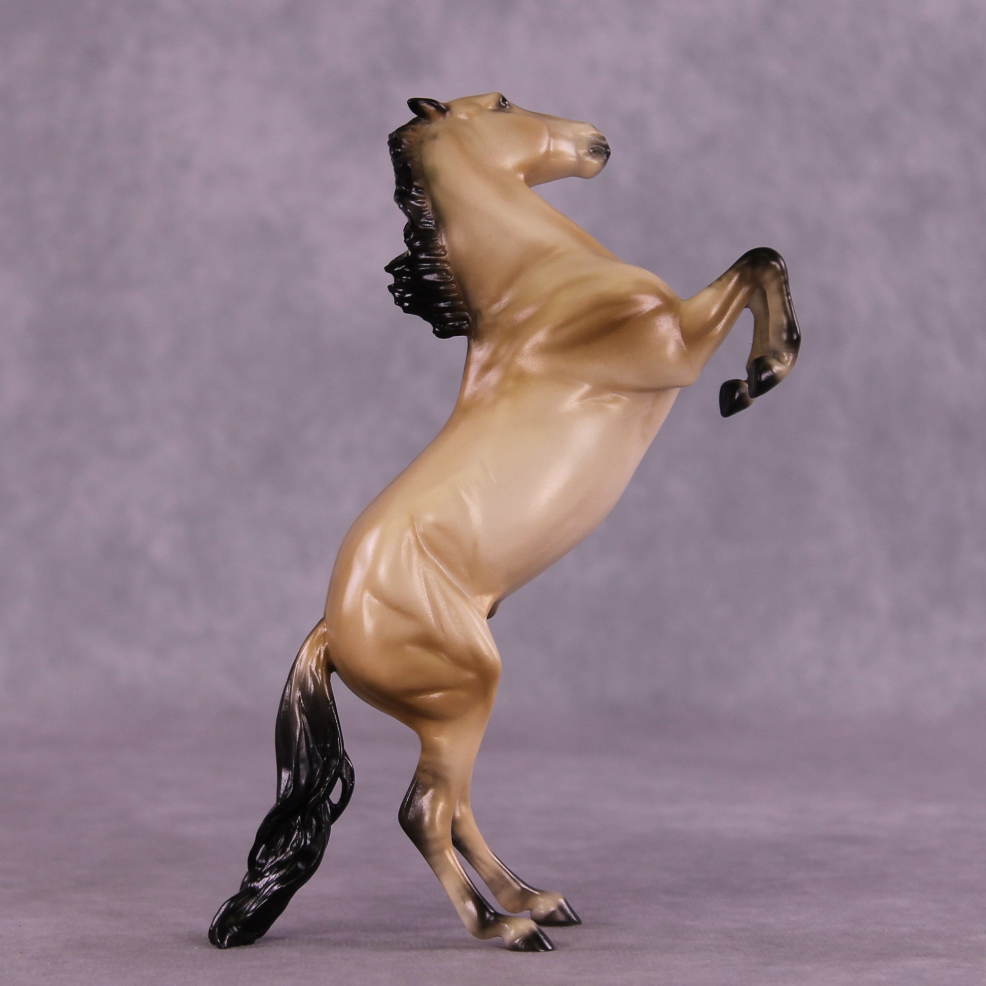 Tracer LE-5 FCM Pebble Mustang by Ellen Robbins MM25