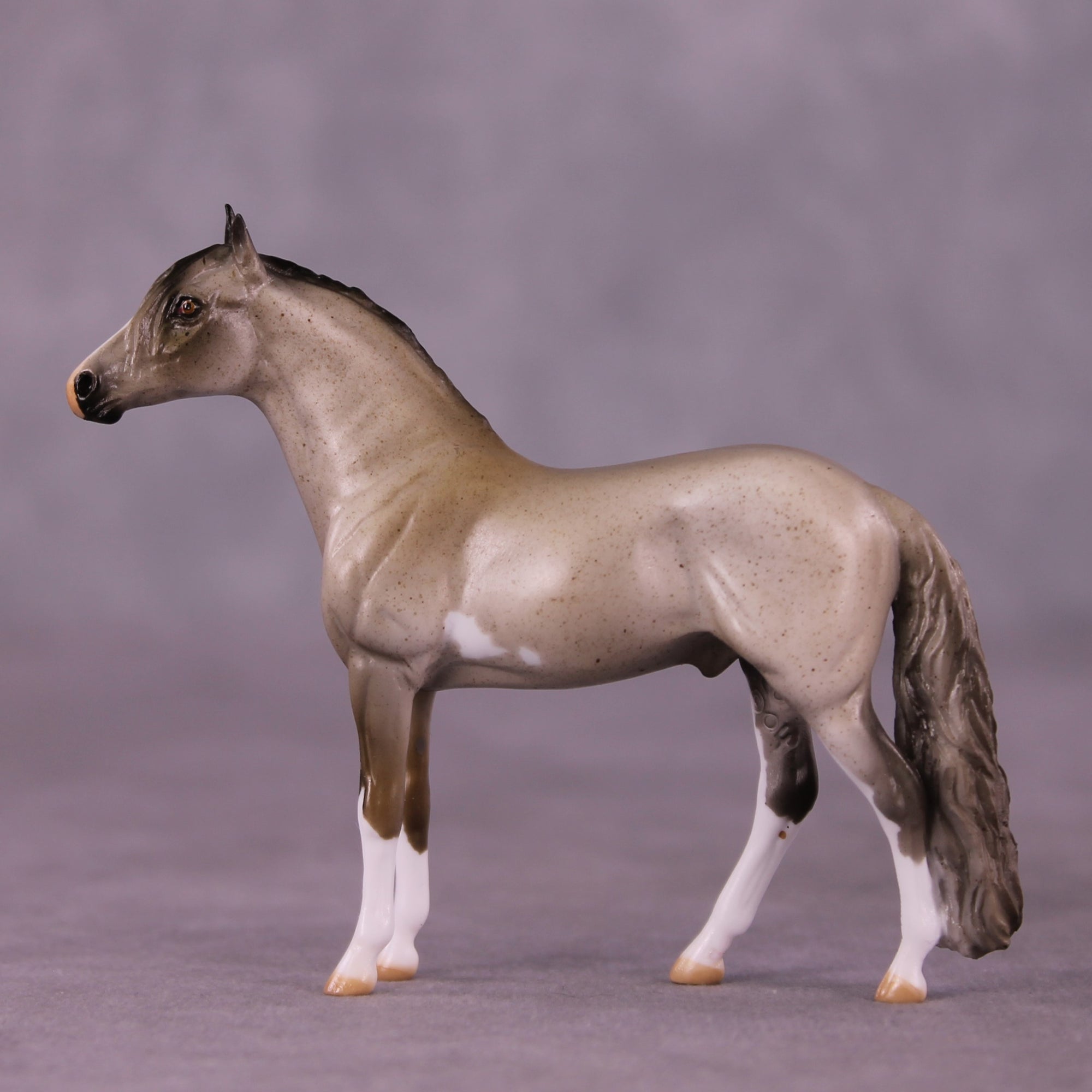 Ross OOAK Andalusian Chip by Julie Keim EQ25