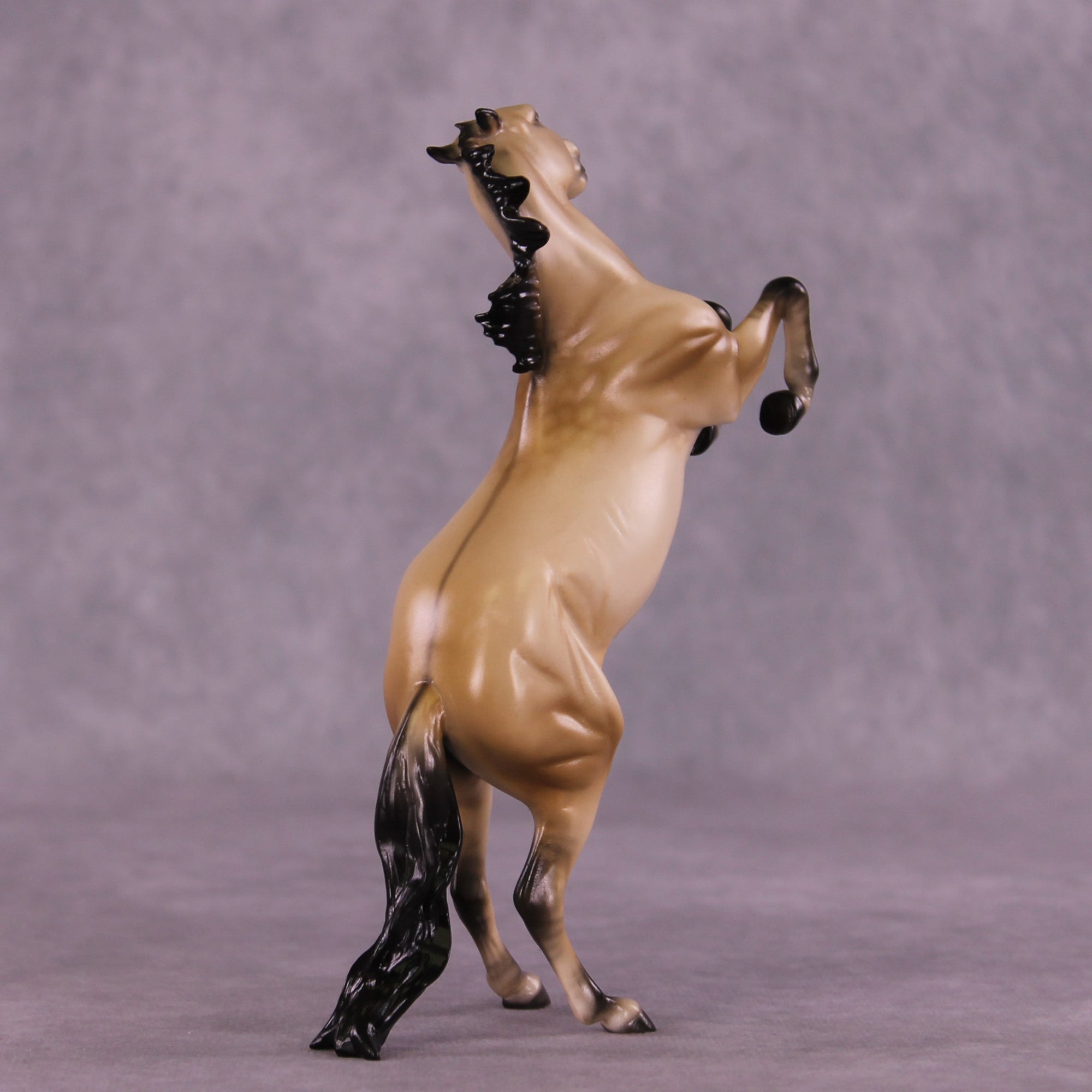 Tracer LE-5 FCM Pebble Mustang by Ellen Robbins MM25