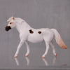 Dottie Limited Edition Rat Inspired Series of 15 OOAK Appaloosa Pony Chip By Jamie Adamson LHS24