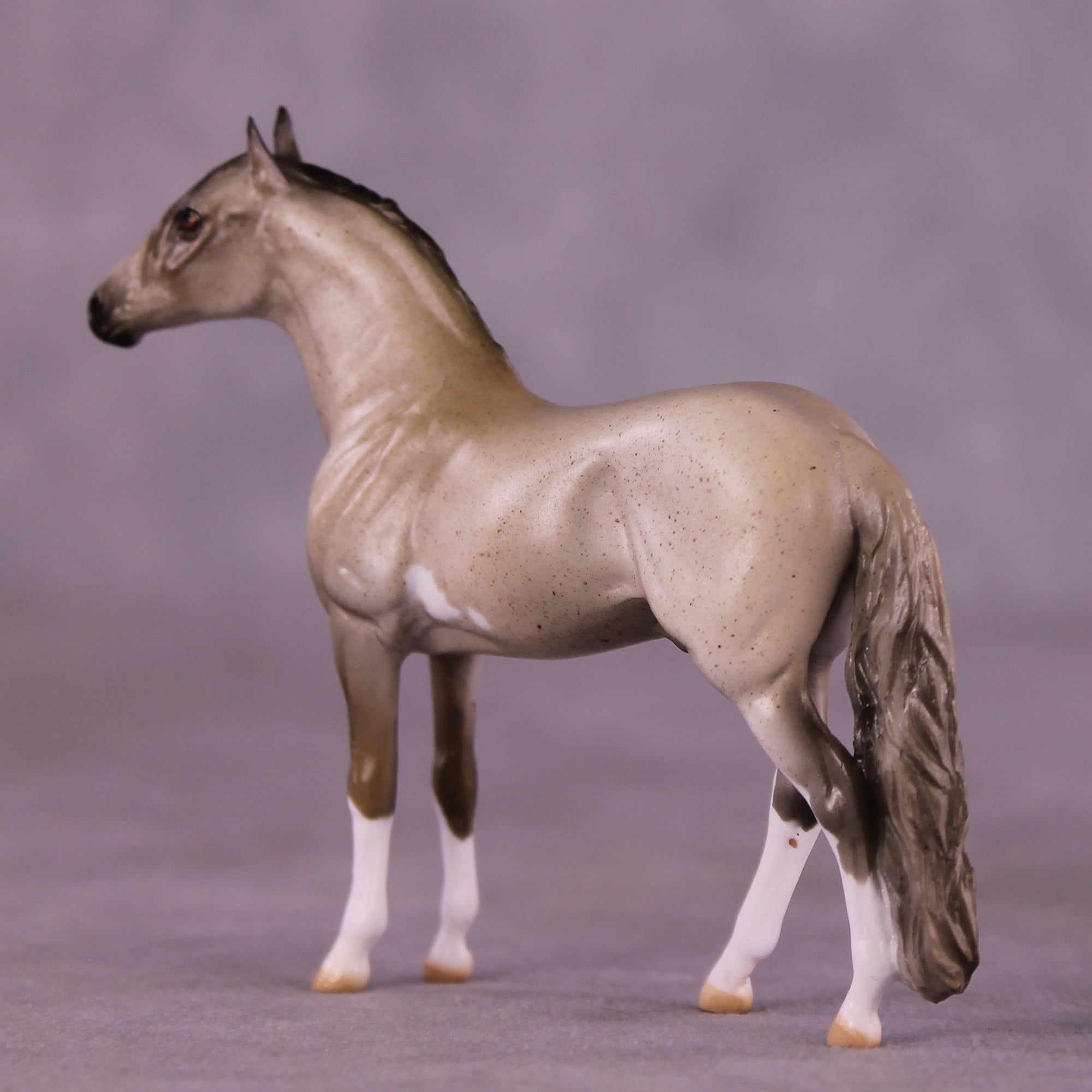 Ross OOAK Andalusian Chip by Julie Keim EQ25