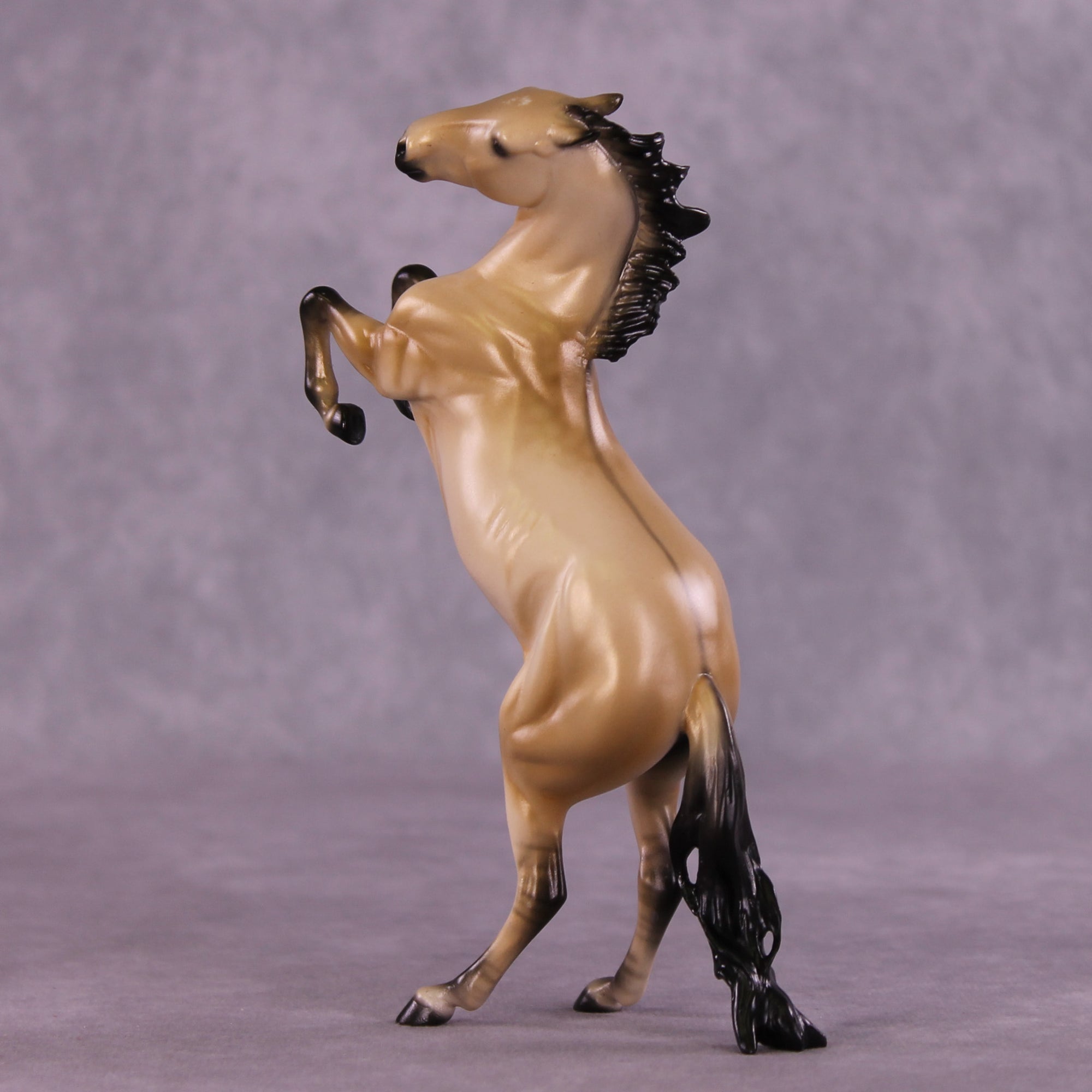 Tracer LE-5 FCM Pebble Mustang by Ellen Robbins MM25