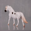 Dottie Limited Edition Rat Inspired Series of 15 OOAK Appaloosa Pony Chip By Jamie Adamson LHS24