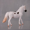 Dottie Limited Edition Rat Inspired Series of 15 OOAK Appaloosa Pony Chip By Jamie Adamson LHS24