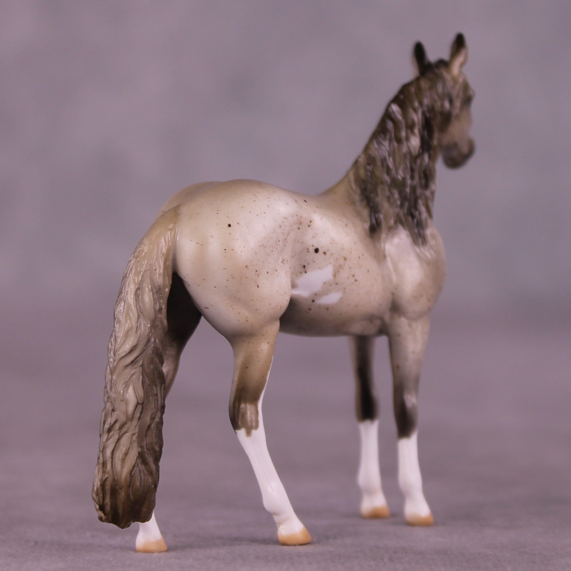 Ross OOAK Andalusian Chip by Julie Keim EQ25