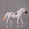 Dottie Limited Edition Rat Inspired Series of 15 OOAK Appaloosa Pony Chip By Jamie Adamson LHS24