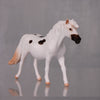 Dottie Limited Edition Rat Inspired Series of 15 OOAK Appaloosa Pony Chip By Jamie Adamson LHS24