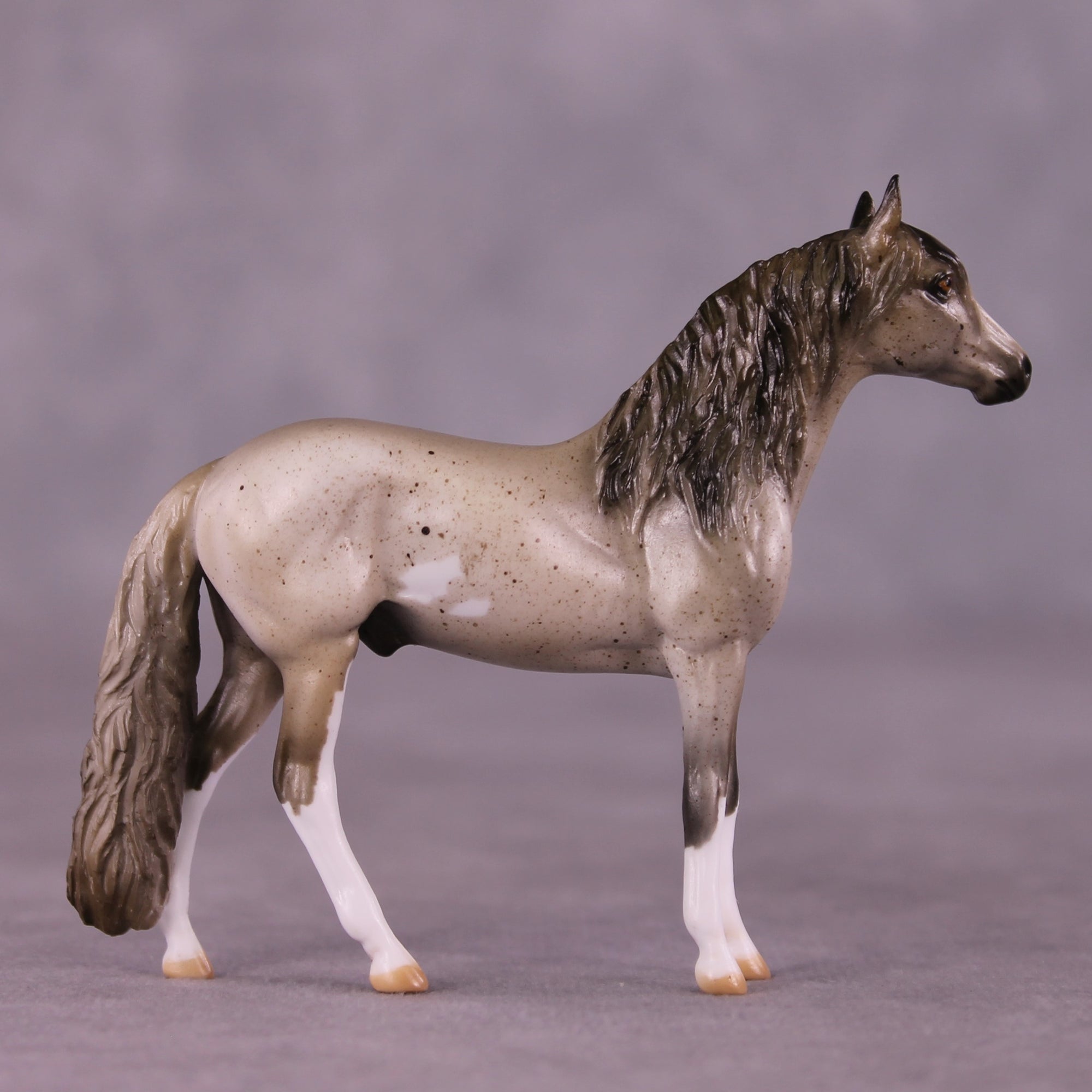 Ross OOAK Andalusian Chip by Julie Keim EQ25