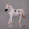 Dottie Limited Edition Rat Inspired Series of 15 OOAK Appaloosa Pony Chip By Jamie Adamson LHS24