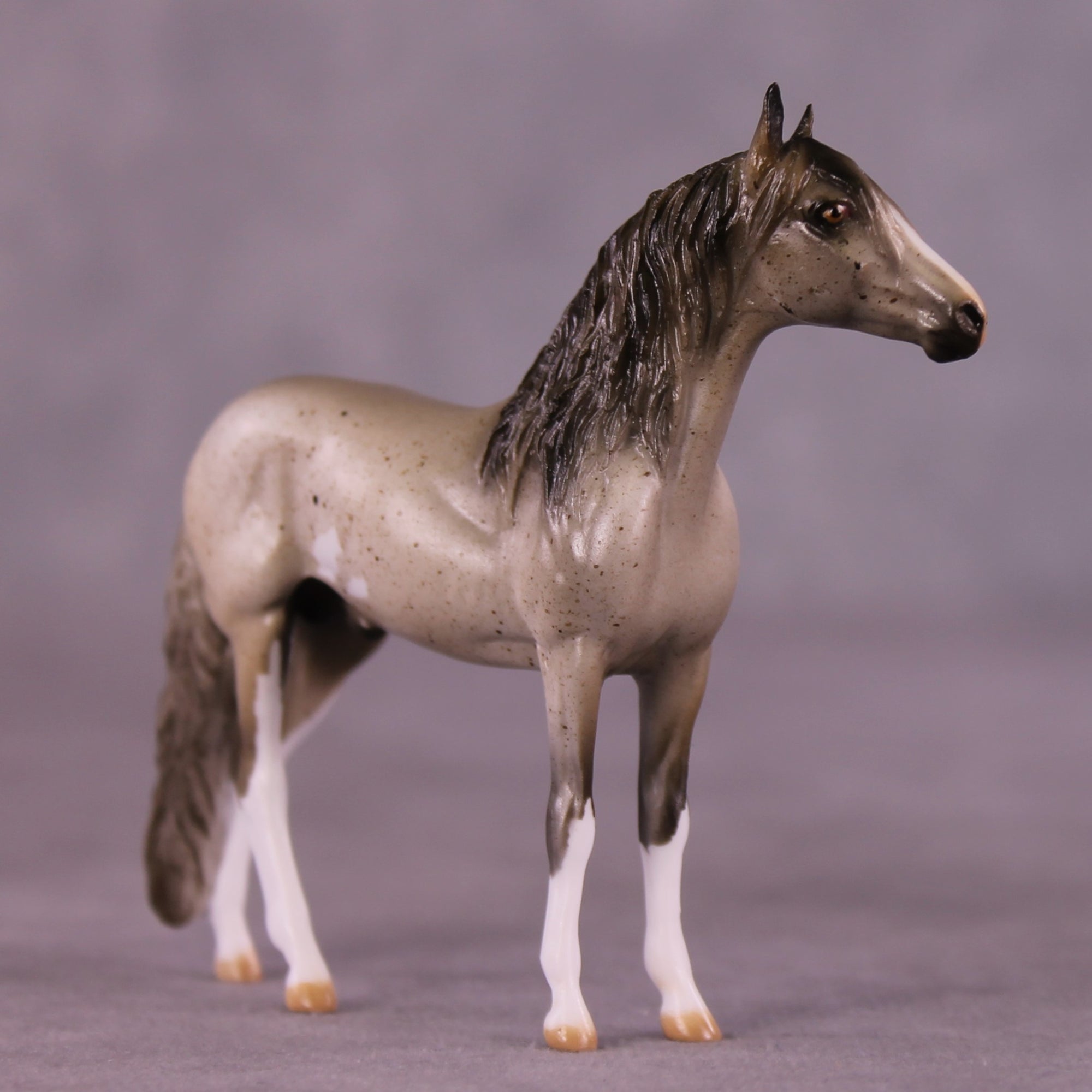 Ross OOAK Andalusian Chip by Julie Keim EQ25