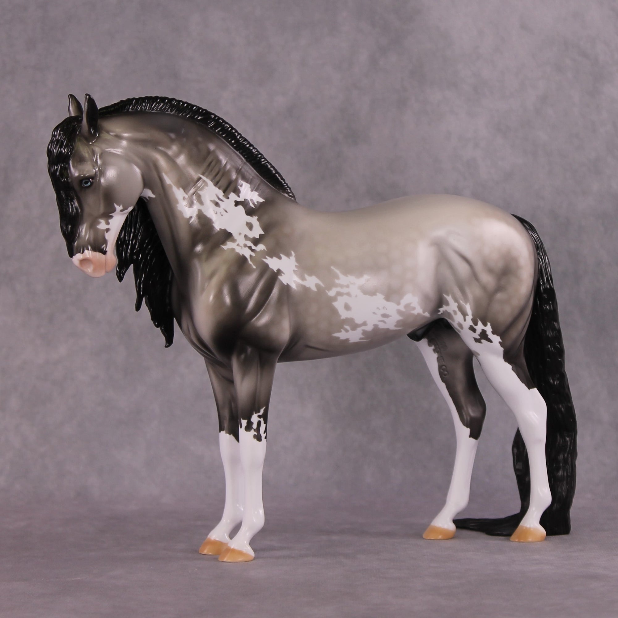 Pre-Order "Sanguine" &amp; "Azimuth" LE-30 Andalusian by Dawn Quick - Fantasy Series - May