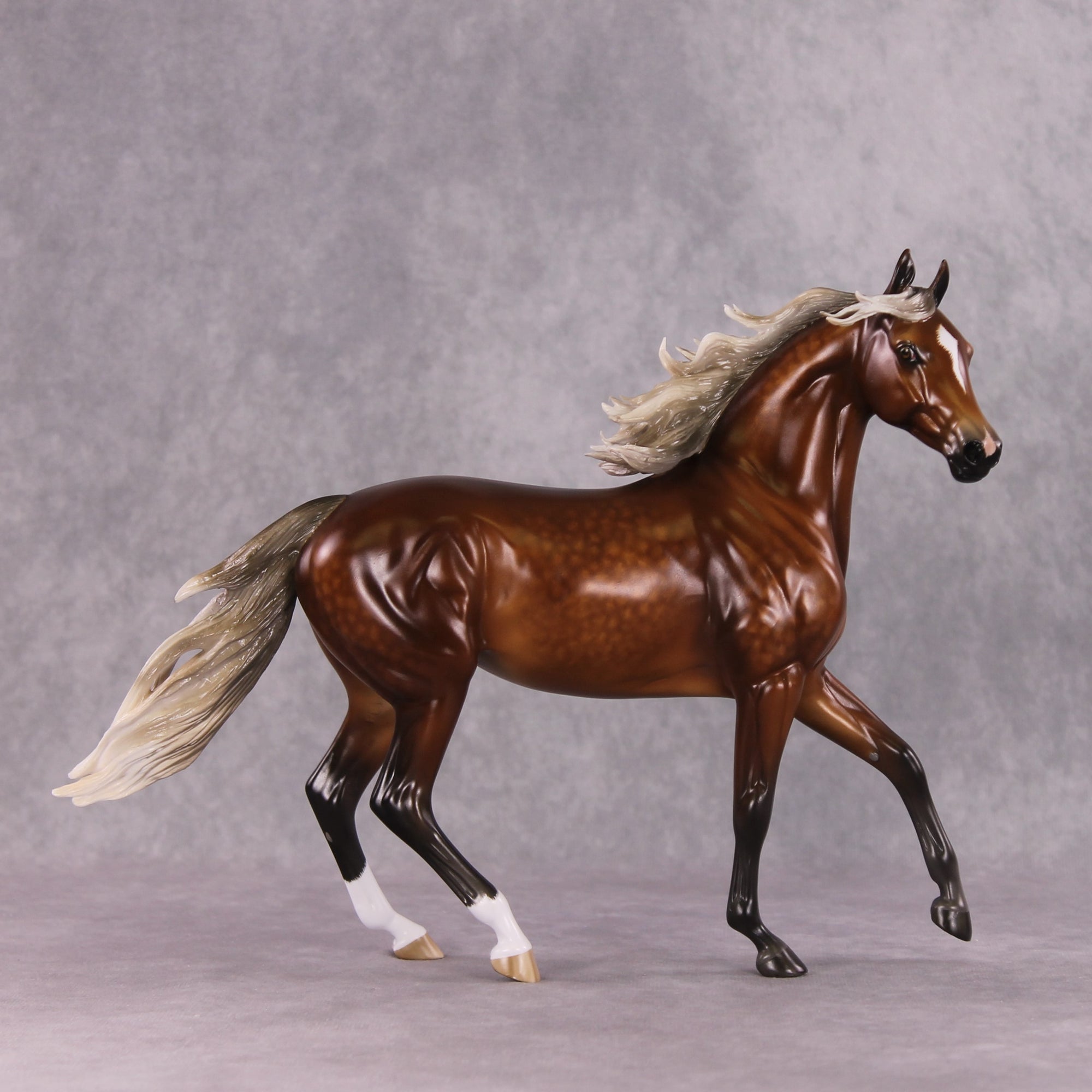 "Typhoon Mary" Best Offer FCM Arab Mare By Sheryl Leisure 04/22/2025