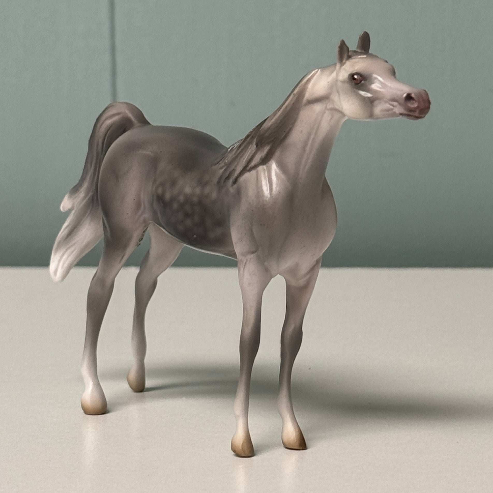 Misty OOAK Dapple Gray Arabian Chip By Jess Hamill EQ24