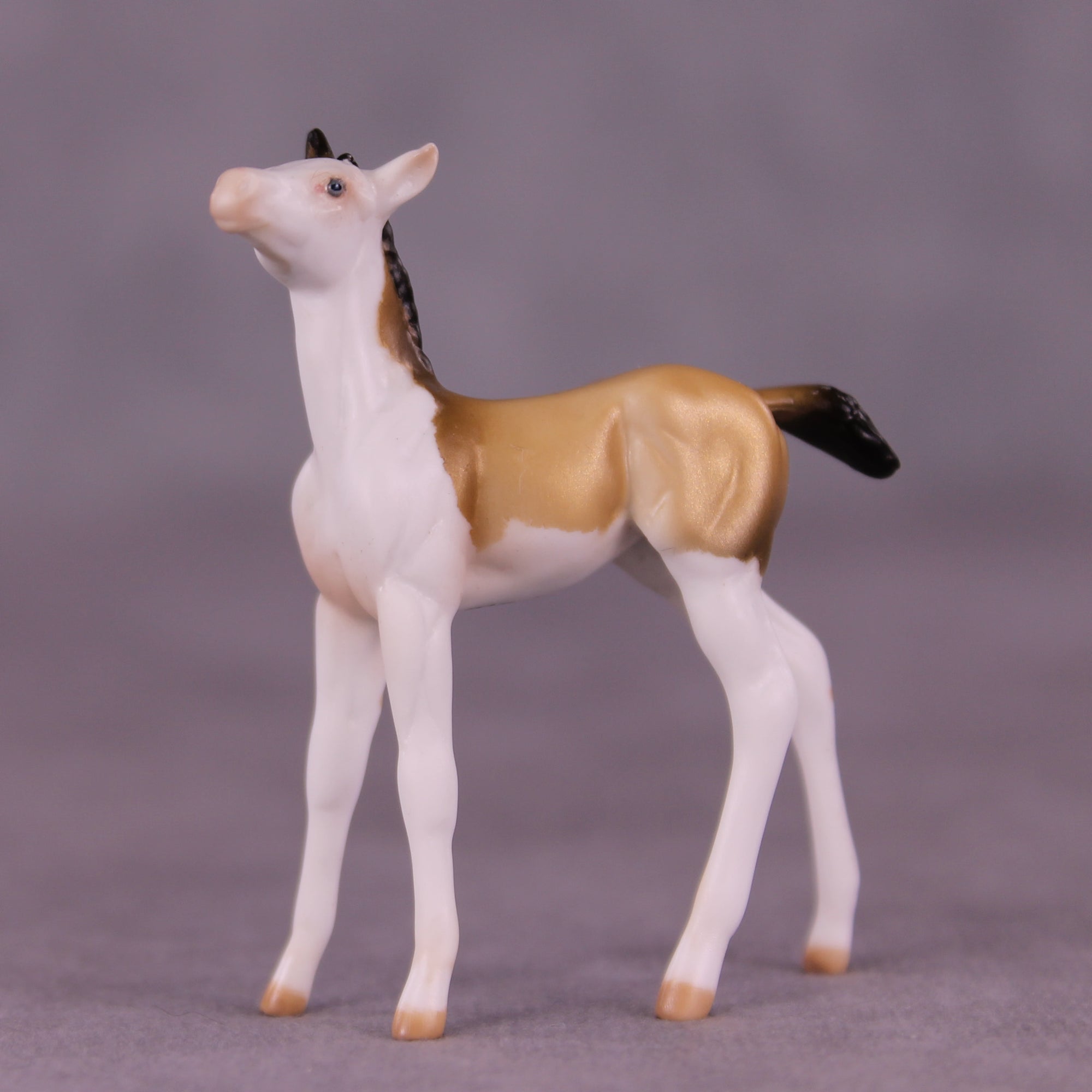 Not A Lot, Just Forever OOAK Chip Foal by Julie Keim LHS25