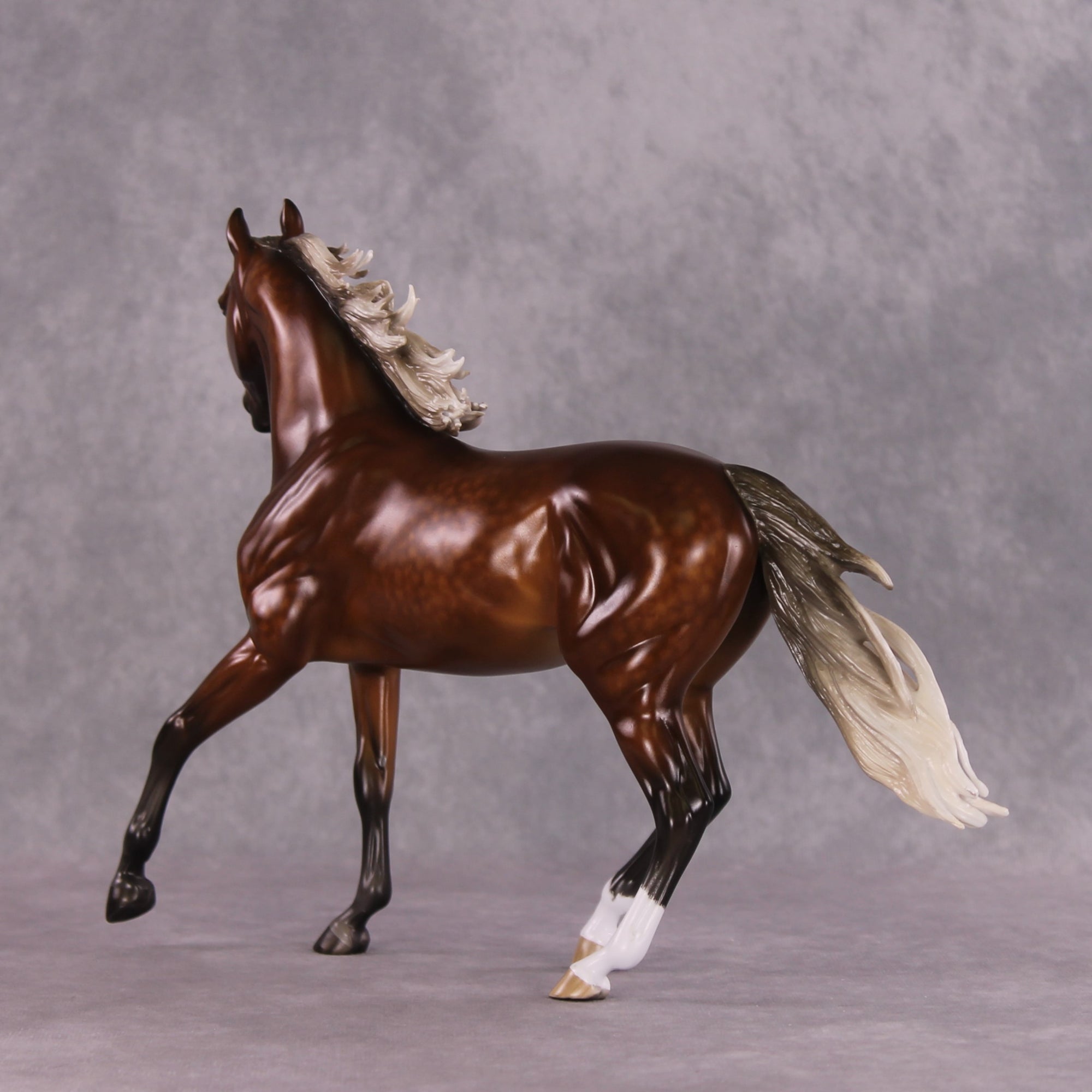 "Typhoon Mary" Best Offer FCM Arab Mare By Sheryl Leisure 04/22/2025