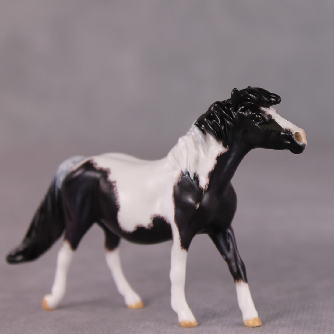 "Breakfast Burrito" OOAK Custom Blue Black Pinto Pony Chip By Kristen Cermele - Gemstone Series