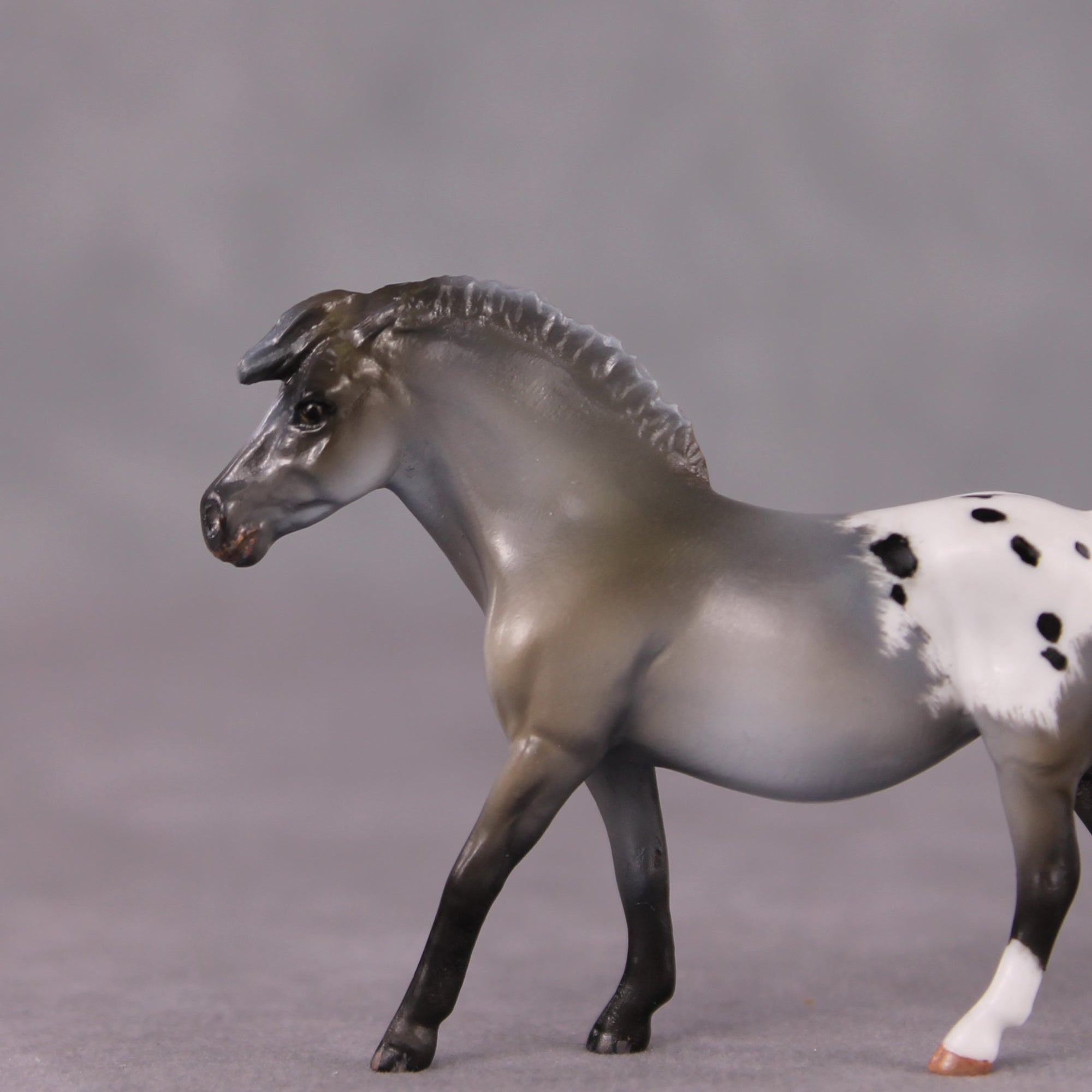 "Linguini" OOAK Custom Roan Blanket Appy Pony Chip By Kristin Cermele - Gemstone Series