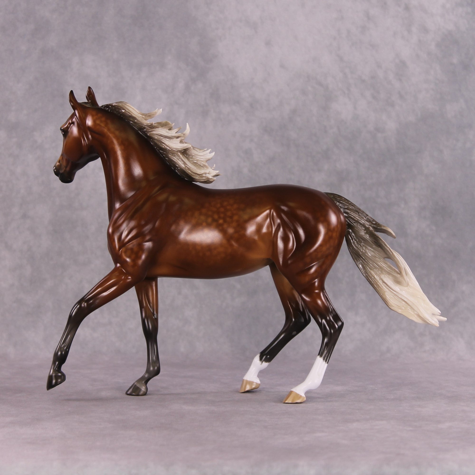 "Typhoon Mary" Best Offer FCM Arab Mare By Sheryl Leisure 04/22/2025